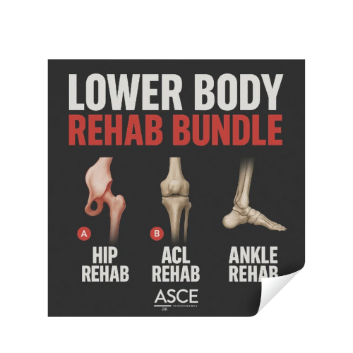 Lower body rehab bundle